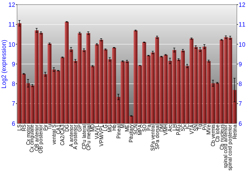 Expression graph