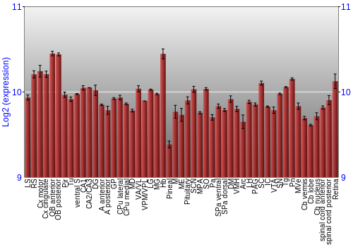 Expression graph