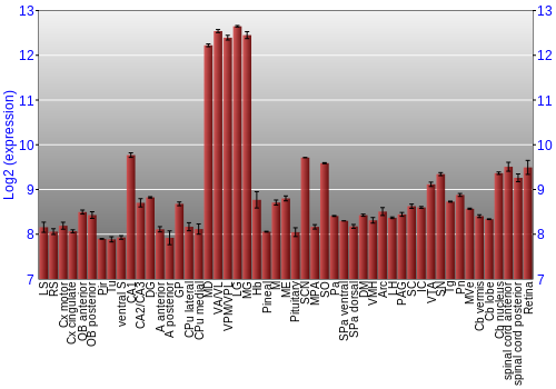 Expression graph