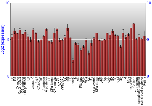 Expression graph