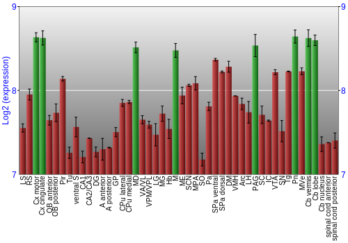 Multi-state expression graph