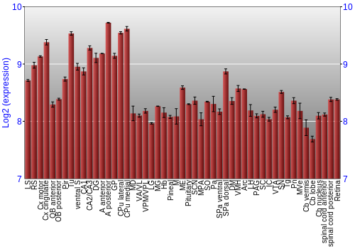 Expression graph