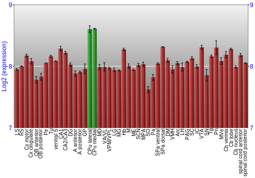 Multi-state expression graph