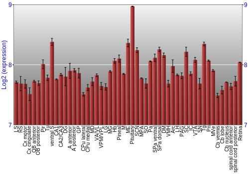Expression graph