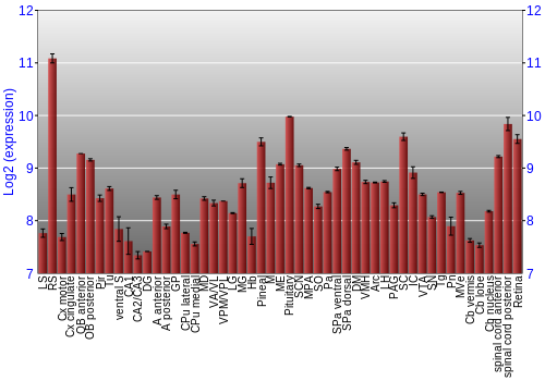 Expression graph