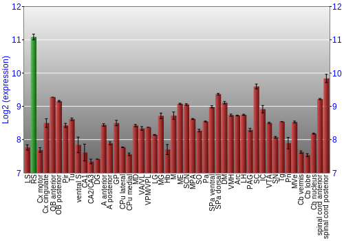 Multi-state expression graph
