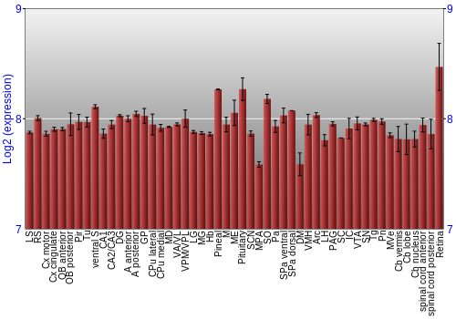 Expression graph