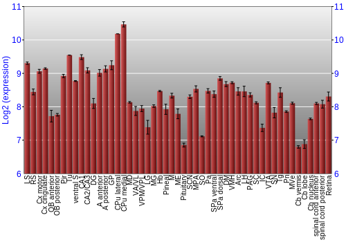 Expression graph