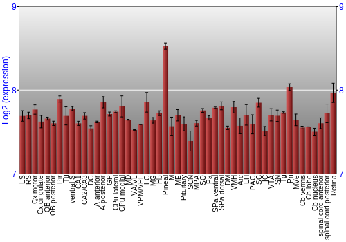 Expression graph