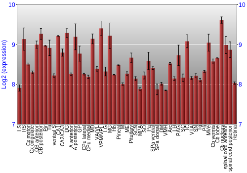 Expression graph