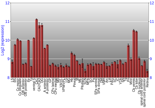 Expression graph