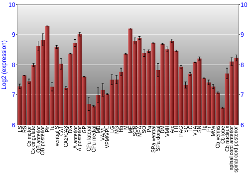 Multi-state expression graph