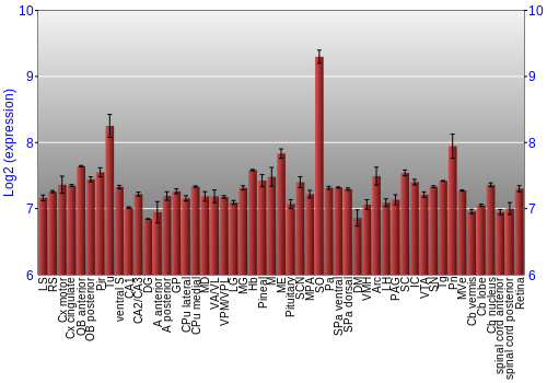 Expression graph