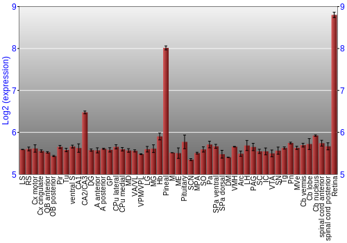 Expression graph
