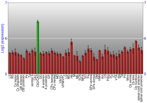 Multi-state expression graph