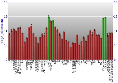 Multi-state expression graph