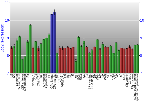 Multi-state expression graph