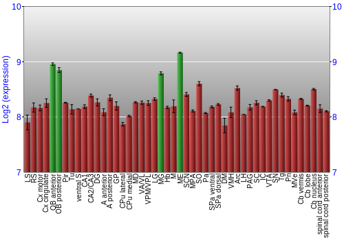 Multi-state expression graph