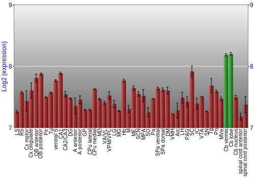 Multi-state expression graph
