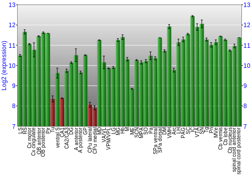 Multi-state expression graph