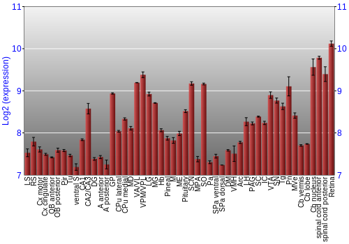 Expression graph