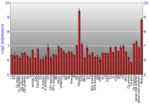 Expression graph