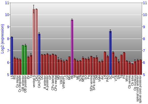 Multi-state expression graph