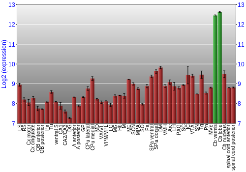 Multi-state expression graph