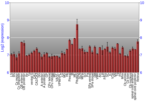 Expression graph