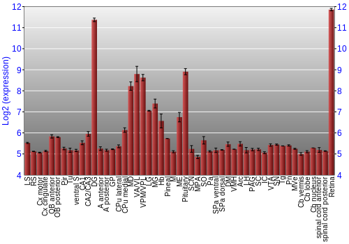 Expression graph
