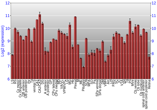 Expression graph