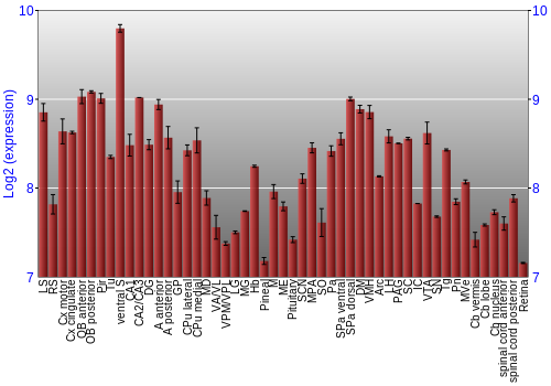 Expression graph