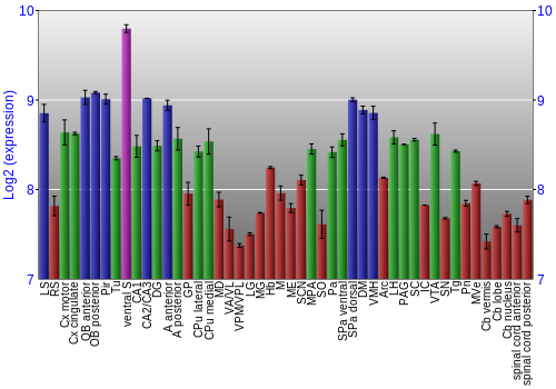 Multi-state expression graph