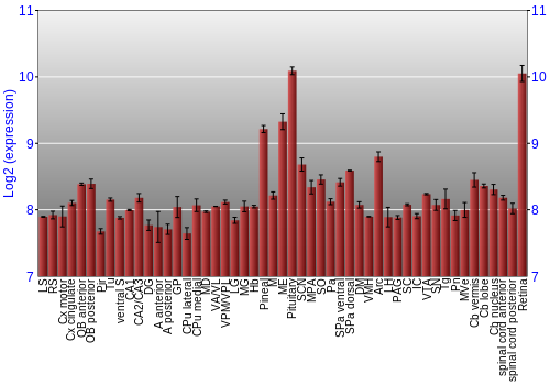 Expression graph