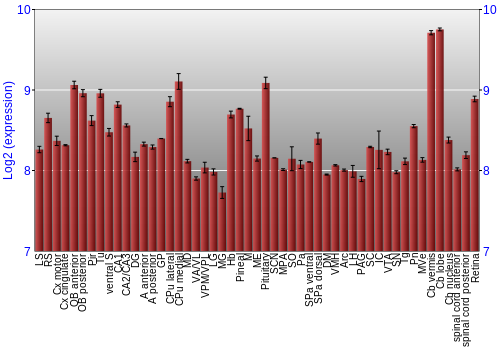 Expression graph
