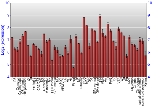 Expression graph