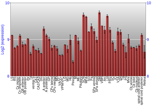 Expression graph