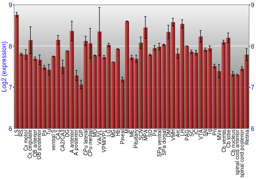 Expression graph