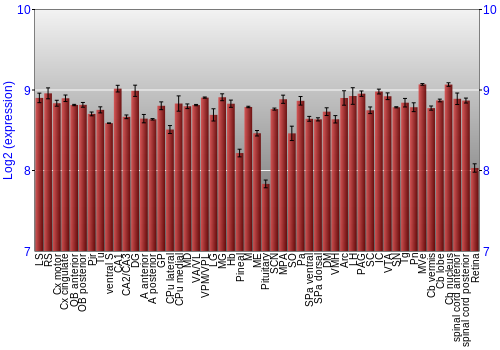 Expression graph
