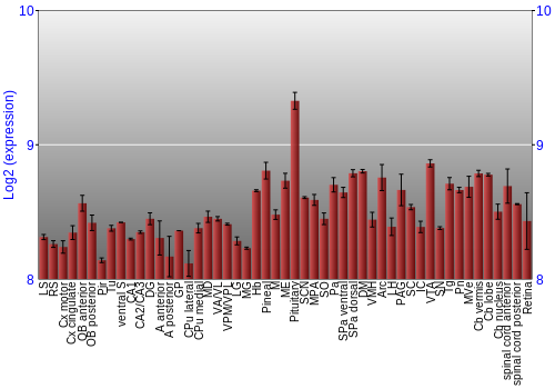 Expression graph