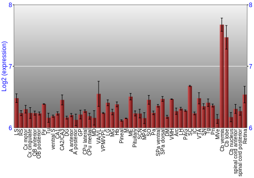 Expression graph