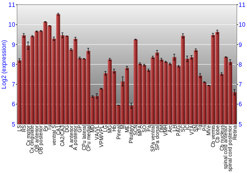 Expression graph