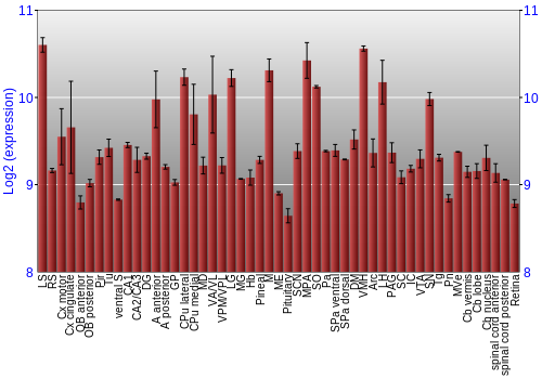 Expression graph