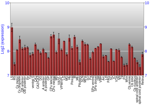 Expression graph