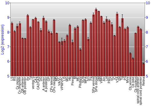 Expression graph