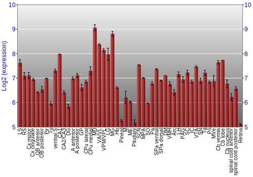 Expression graph