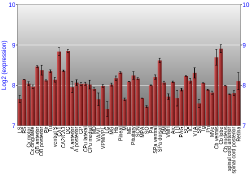 Expression graph