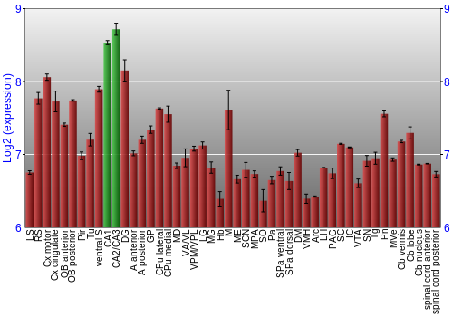 Multi-state expression graph