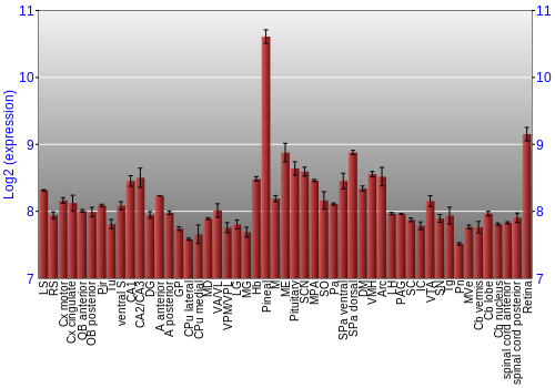Expression graph