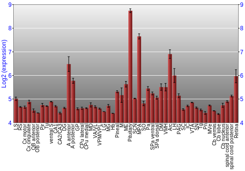 Expression graph